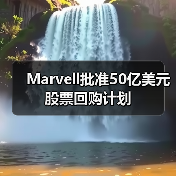 Marvell批准50亿美元股票回购计划