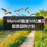 Marvell批准50亿美元股票回购计划（图4）