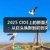 2025 CIOE上的新面孔:从巨头焕新到初创突围(图2) 2025 CIOE上的新面孔:从巨头焕新到初创突围(图2)