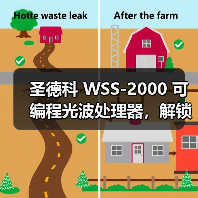 圣德科 WSS-2000 可编程光波处理器，解锁相位调制新可能