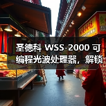 圣德科 WSS-2000 可编程光波处理器,解锁相位调制新可能(图4) 圣德科 WSS-2000 可编程光波处理器,解锁相位调制新可能(图4)