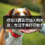 欢迎江西云芯加入和光荟：专注于光纤研磨全自动化生产设备制造