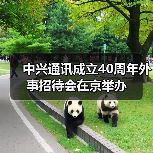 中兴通讯成立40周年外事招待会在京举办(图3) 中兴通讯成立40周年外事招待会在京举办(图3)