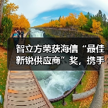智立方荣获海信“最佳新锐供应商”奖，携手共筑智能化供应链新生态（图2）