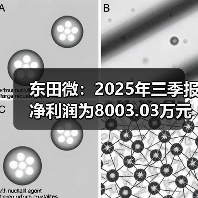 东田微：2025年三季报净利润为8003.03万元（图2）