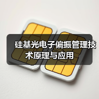 硅基光电子偏振管理技术原理与应用（图1）