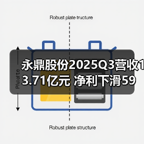 永鼎股份2025Q3营收13.71亿元 净利下滑59%（图4）