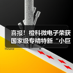 喜报!橙科微电子荣获国家级专精特新“小巨人”企业称号(图3) 喜报!橙科微电子荣获国家级专精特新“小巨人”企业称号(图3)