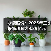 永鼎股份:2025年三季报净利润为3.29亿元(图2) 永鼎股份:2025年三季报净利润为3.29亿元(图2)