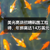 美光高薪招聘韩国工程师，年薪高达14万美元