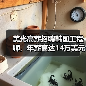 美光高薪招聘韩国工程师,年薪高达14万美元(图4) 美光高薪招聘韩国工程师,年薪高达14万美元(图4)
