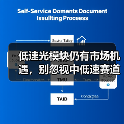 低速光模块仍有市场机遇，别忽视中低速赛道（图4）