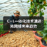 C+L一体化技术演进：光网络未来趋势（图4）
