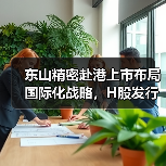 东山精密赴港上市布局国际化战略,H股发行如何赋能产业扩张?(图4) 东山精密赴港上市布局国际化战略,H股发行如何赋能产业扩张?(图4)