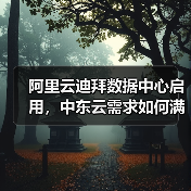 阿里云迪拜数据中心启用,中东云需求如何满足?(图2) 阿里云迪拜数据中心启用,中东云需求如何满足?(图2)
