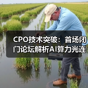 CPO技术突破：首场闭门论坛解析AI算力光连接方案（图3）