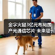 金字火腿跨界收购中晟微，能否突围半导体赛道？