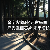 金字火腿3亿元布局国产光通信芯片 未来增长能否兑现?(图2) 金字火腿3亿元布局国产光通信芯片 未来增长能否兑现?(图2)