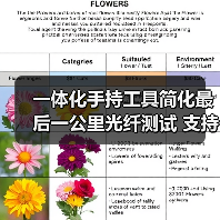一体化手持工具简化最后一公里光纤测试 支持10Gbps高速率（图4）