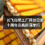 长飞印尼工厂开放日暨十周年庆典圆满举行 长飞印尼工厂开放日暨十周年庆典圆满举行