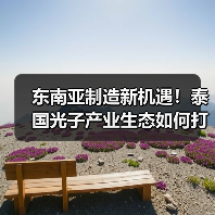 东南亚制造新机遇!泰国光子产业生态如何打造?(图3) 东南亚制造新机遇!泰国光子产业生态如何打造?(图3)