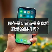 现在是Ciena投资优雅退场的时机吗?(图2) 现在是Ciena投资优雅退场的时机吗?(图2)