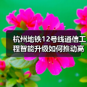 杭州地铁12号线通信工程智能升级如何推动高效运营? 杭州地铁12号线通信工程智能升级如何推动高效运营?