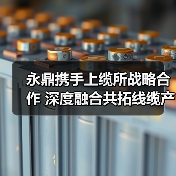 永鼎携手上缆所战略合作 深度融合共拓线缆产业新蓝海(图4) 永鼎携手上缆所战略合作 深度融合共拓线缆产业新蓝海(图4)