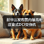 新华三发布国内最高密度盒式DCI交换机（图3）