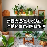 泰国光通信人才缺口:本地化培养能否破解困境?(图4) 泰国光通信人才缺口:本地化培养能否破解困境?(图4)