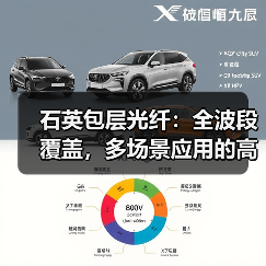 石英包层光纤:全波段覆盖,多场景应用的高性能选择(图4) 石英包层光纤:全波段覆盖,多场景应用的高性能选择(图4)