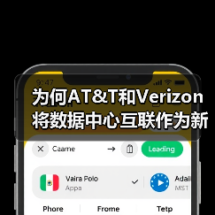 为何AT&T和Verizon将数据中心互联作为新利润增长点?(图4) 为何AT&T和Verizon将数据中心互联作为新利润增长点?(图4)