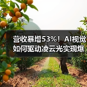 营收暴增53%!AI视觉如何驱动凌云光实现爆发式增长?(图2) 营收暴增53%!AI视觉如何驱动凌云光实现爆发式增长?(图2)
