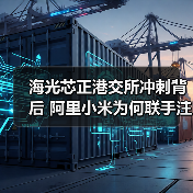 海光芯正港交所冲刺背后 阿里小米为何联手注资?(图3) 海光芯正港交所冲刺背后 阿里小米为何联手注资?(图3)