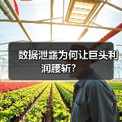 数据泄露为何让巨头利润腰斩?(图1) 数据泄露为何让巨头利润腰斩?(图1)