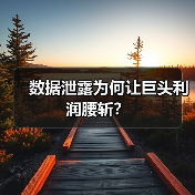 数据泄露为何让巨头利润腰斩?(图3) 数据泄露为何让巨头利润腰斩?(图3)