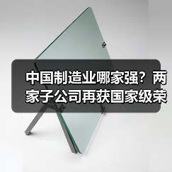 中国制造业哪家强?两家子公司再获国家级荣誉(图3) 中国制造业哪家强?两家子公司再获国家级荣誉(图3)