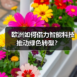 欧洲如何借力智能科技推动绿色转型?(图4) 欧洲如何借力智能科技推动绿色转型?(图4)