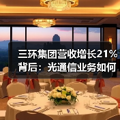 三环集团营收增长21%背后：光通信业务如何驱动业绩？（图3）