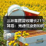 三环集团营收增长21%背后：光通信业务如何驱动业绩？（图4）