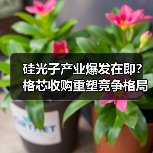 硅光子产业爆发在即？格芯收购重塑竞争格局（图1）