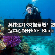 英伟达Q3财报暴增!数据中心飙升66% Blackwell GPU供不应求(图3) 英伟达Q3财报暴增!数据中心飙升66% Blackwell GPU供不应求(图3)
