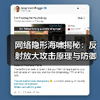 网络隐形海啸揭秘:反射放大攻击原理与防御全解析(图2) 网络隐形海啸揭秘:反射放大攻击原理与防御全解析(图2)