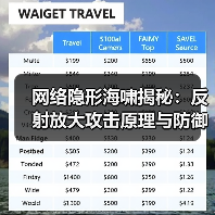 网络隐形海啸揭秘:反射放大攻击原理与防御全解析(图3) 网络隐形海啸揭秘:反射放大攻击原理与防御全解析(图3)