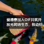 爱德泰加入OIF共筑开放光网络生态,推动标准化进程(图3) 爱德泰加入OIF共筑开放光网络生态,推动标准化进程(图3)