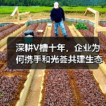 深耕V槽十年,企业为何携手和光荟共建生态?(图4) 深耕V槽十年,企业为何携手和光荟共建生态?(图4)