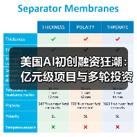 美国AI初创融资狂潮:亿元级项目与多轮投资趋势解析(图3) 美国AI初创融资狂潮:亿元级项目与多轮投资趋势解析(图3)