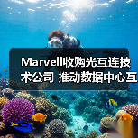 Marvell收购光互连技术公司 推动数据中心互连升级（图4）
