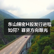 东山精密H股发行进程如何?募资方向曝光(图2) 东山精密H股发行进程如何?募资方向曝光(图2)