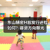 东山精密H股发行进程如何?募资方向曝光(图3) 东山精密H股发行进程如何?募资方向曝光(图3)